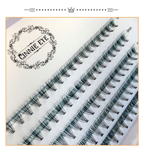 100 Clusters Lashes